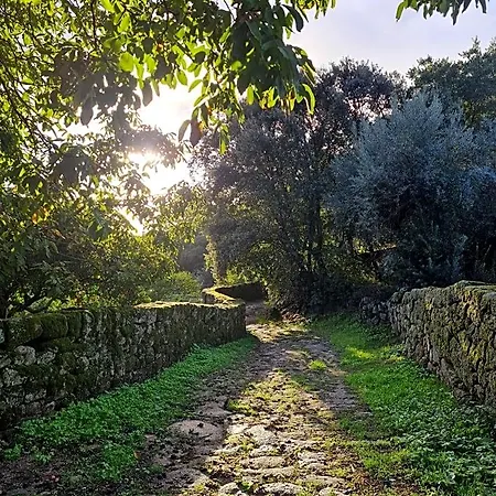 Quinta De Sao Pedro De Vir-a-corca Em Monsanto 3* Idanha-a-Velha