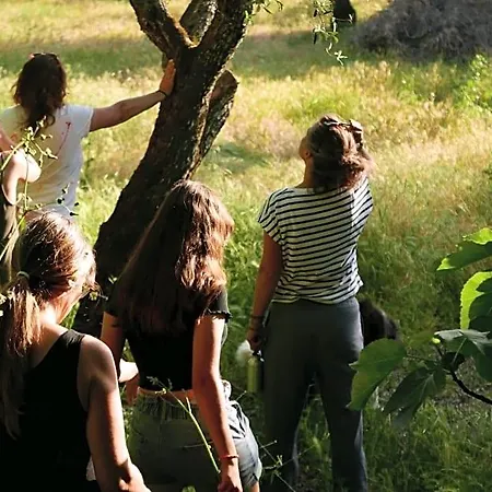 Quinta De Sao Pedro De Vir-a-corca Em Monsanto 3* Idanha-a-Velha