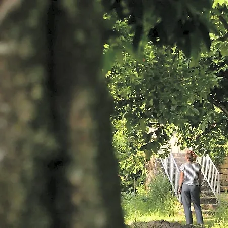 Quinta De Sao Pedro De Vir-a-corca Em Monsanto 3* Idanha-a-Velha