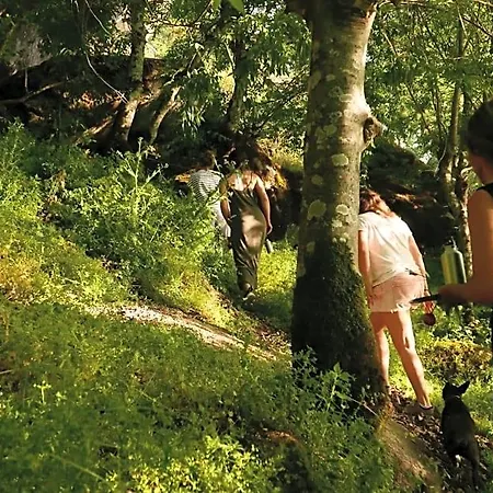 Quinta De Sao Pedro De Vir-a-corca Em Monsanto Idanha-a-Velha