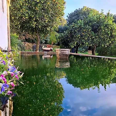 Quinta De Sao Pedro De Vir-a-corca Em Monsanto Hotel