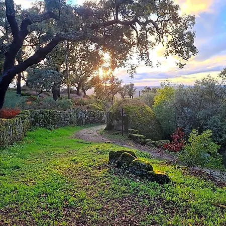 Quinta De Sao Pedro De Vir-a-corca Em Monsanto 3*